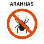 KILL-BUGS-PRAGAS-ARANHAS