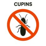 KILL-BUGS-PRAGAS-CUPINS
