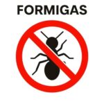 KILL-BUGS-PRAGAS-FORMIGAS